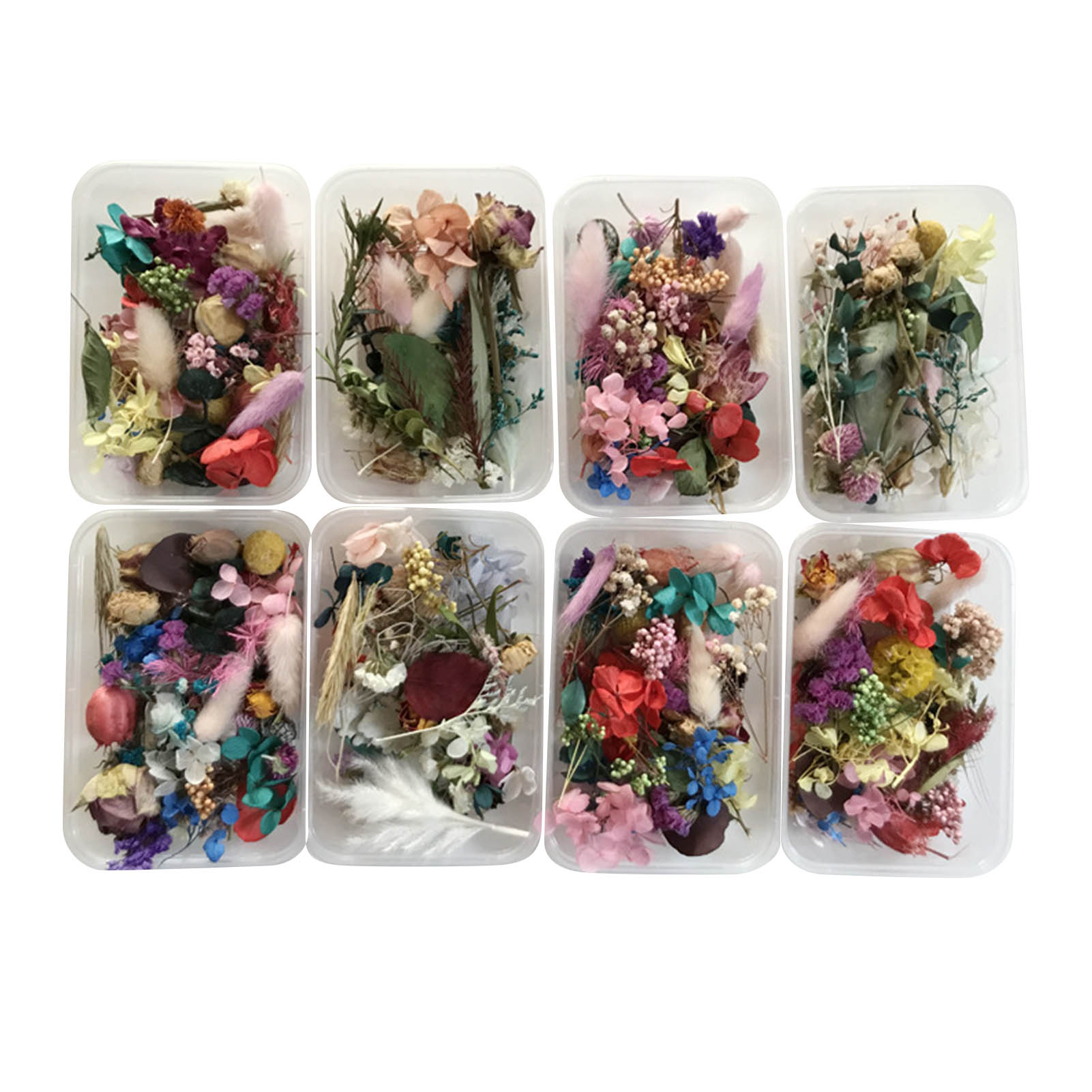 Kit de fleurs séchées naturell - Dried Herbs avis et prix