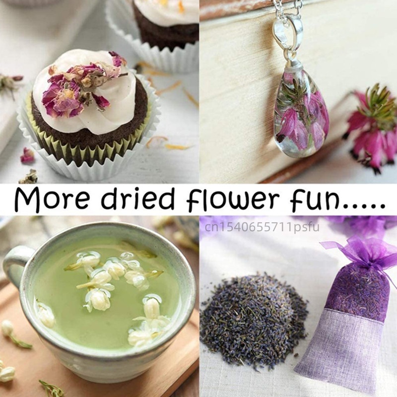 Fleurs de camomille naturelles - Chamomile Tea avis et prix